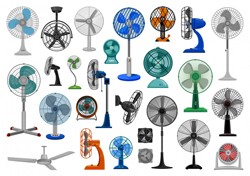 Fans category